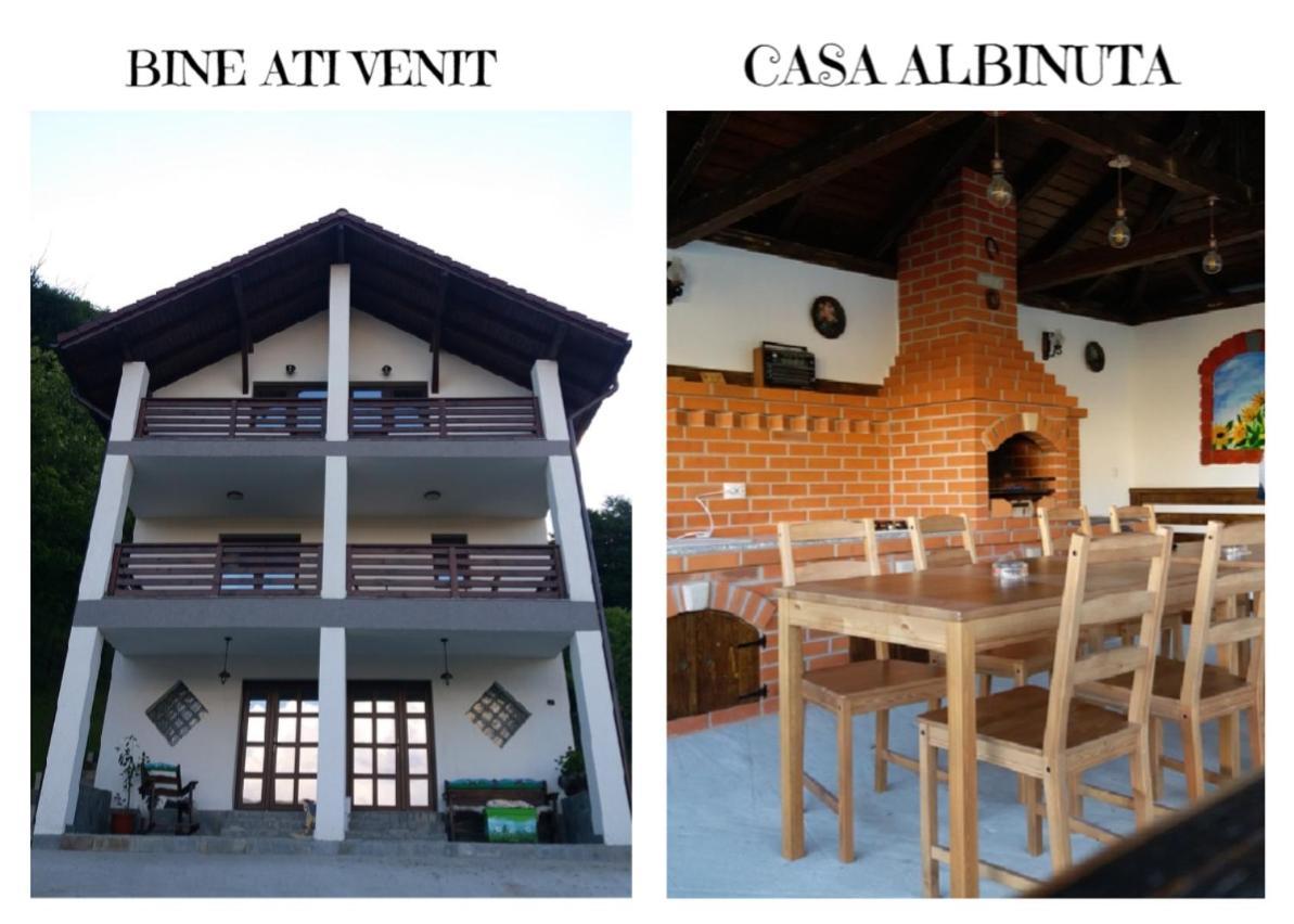 Călimăneşti Casa Albinuta酒店 外观 照片